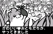 Intro: from faraway Hamster Village..., original Japanese