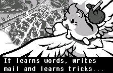 Intro: it learns words, writes mail and learns tricks, in English