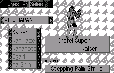 Wrestler Select(レスラー セレクト)(英語版)