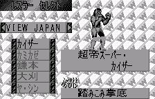 Wrestler Select(レスラー セレクト)(オリジナルの日本語版)