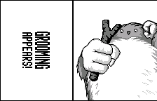 Boss introduction: Grooming, in English