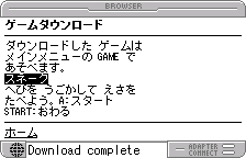 ゲームのダウンロード完了(英語版)