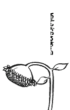 The end of summer, original Japanese