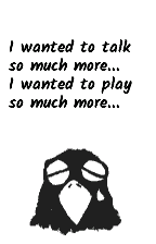 "I wanted to talk so much more...", in English