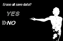 Erase save data?, in English